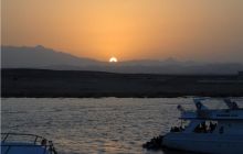 Safari St Johns - październik 2008