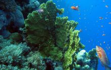 Safari St Johns - październik 2008