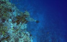 Safari St Johns - październik 2008