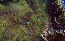 Safari St Johns - październik 2008