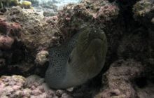 Safari St Johns - październik 2008