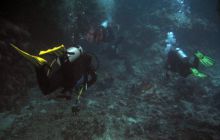 Safari St Johns - październik 2008