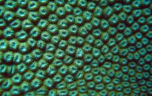 Safari St Johns - październik 2008