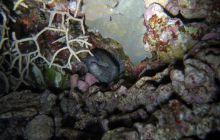 Safari St Johns - październik 2008