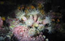 Safari St Johns - październik 2008