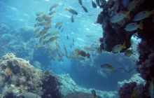 Safari St Johns - październik 2008