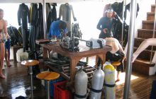 Safari St Johns - październik 2008