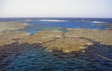 Safari St Johns - październik 2008