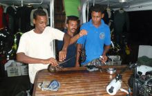 Safari St Johns - październik 2008