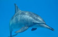 Safari St Johns - październik 2008