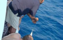 Safari St Johns - październik 2008