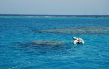 Safari St Johns - październik 2008