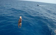 Safari St Johns - październik 2008