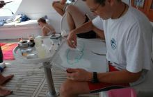 Safari St Johns - październik 2008