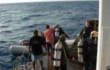 Safari St Johns - październik 2008