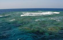 Safari St Johns - październik 2008