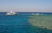 Safari St Johns - październik 2008