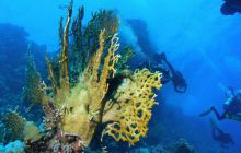 Safari St Johns - październik 2008