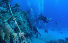 Safari St Johns - październik 2008