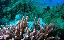 Safari St Johns - październik 2008