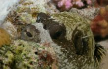 Safari St Johns - październik 2008