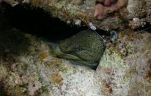 Safari St Johns - październik 2008