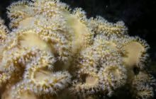 Safari St Johns - październik 2008