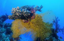 Safari St Johns - październik 2008