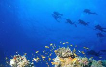 Safari St Johns - październik 2008