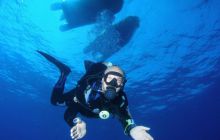 Safari St Johns - październik 2008