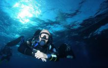 Safari St Johns - październik 2008