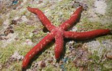 Safari St Johns - październik 2008