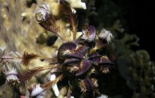 Safari St Johns - październik 2008