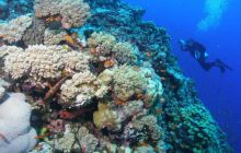 Safari St Johns - październik 2008