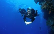 Safari St Johns - październik 2008