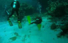 Safari St Johns - październik 2008