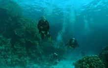 Safari St Johns - październik 2008