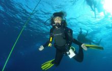 Safari St Johns - październik 2008