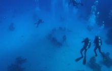 Safari St Johns - październik 2008