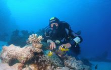 Safari St Johns - październik 2008