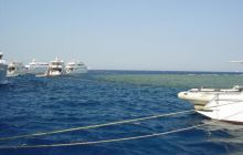 Safari St Johns - październik 2008