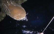 Safari St Johns - październik 2008