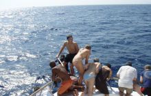 Safari St Johns - październik 2008