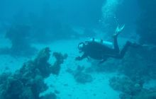 Safari St Johns - październik 2008