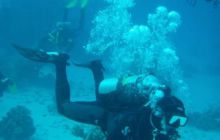 Safari St Johns - październik 2008