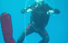 Safari St Johns - październik 2008