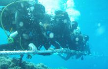 Safari St Johns - październik 2008