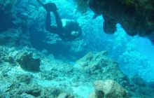 Safari St Johns - październik 2008