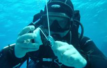 Safari St Johns - październik 2008