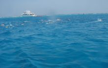 Safari St Johns - październik 2008